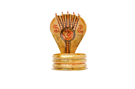 Naga Bharanam