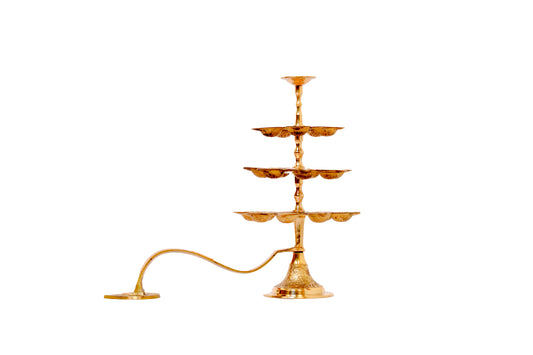 Nakshatra Aarathi (21)