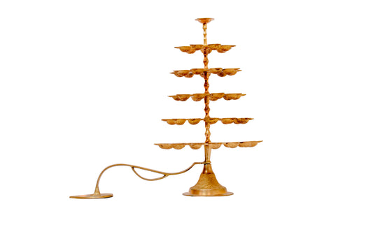 Nakshatra Aarathi (54)